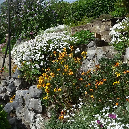 Des Rouges Terres * Тё